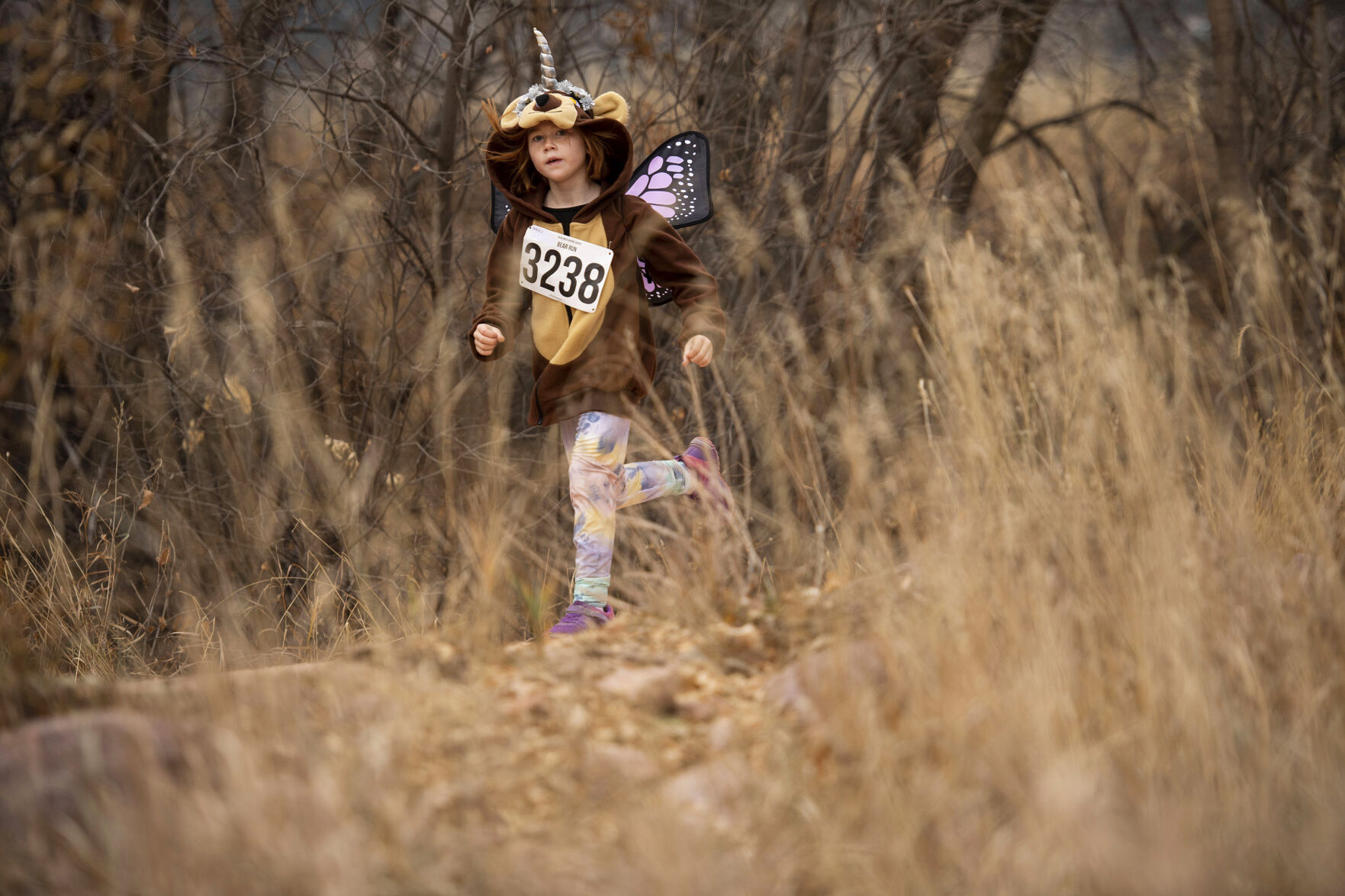 111421-news-bearrun 03.jpg